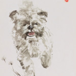 Evita rennt Hund sumie