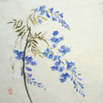 Japanische Wisteria Tuschmalerei