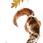 Eichhörnchen im Herbst Eichhörnchen Tuschmalerei